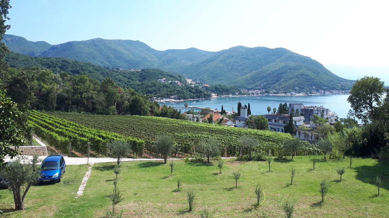Staze Boke: Vinogradi Boke Kotorske (epizoda 2)