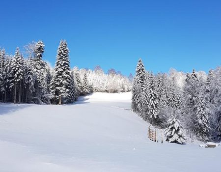 Ski centar “Kolašin 1600” otvara vrata prvim gostima