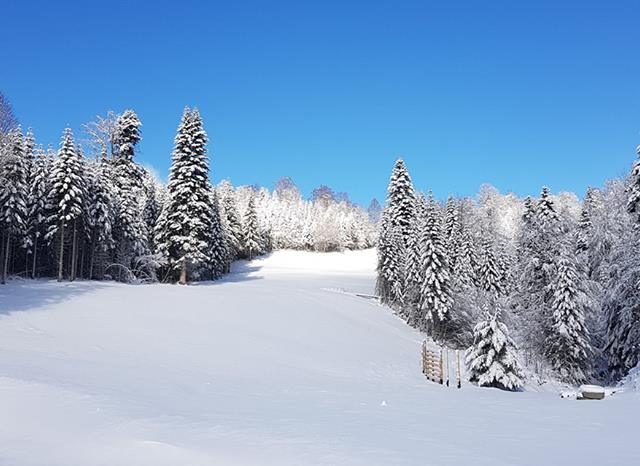 Ski centar “Kolašin 1600” otvara vrata prvim gostima