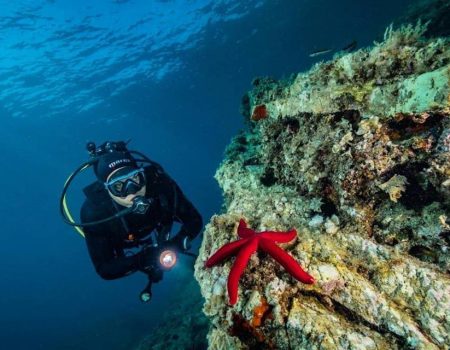 Njemački novinar piše o podvodnom svijetu Crne Gore: Ronjenje i pećine su vaša šansa!