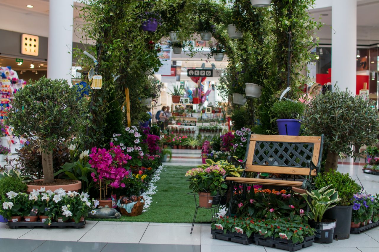 Miris proljeća: Sajam cvijeća i ukrasnog bilja za vikend u Delti