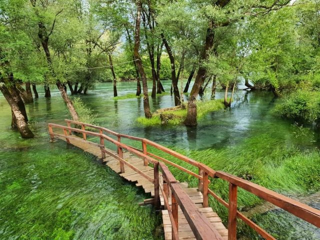 Dar ravnice: Rijeka Zeta postaje Park prirode!