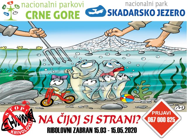 Ribolovni zabran na Skadarskom jezeru od 15. marta do 15. maja