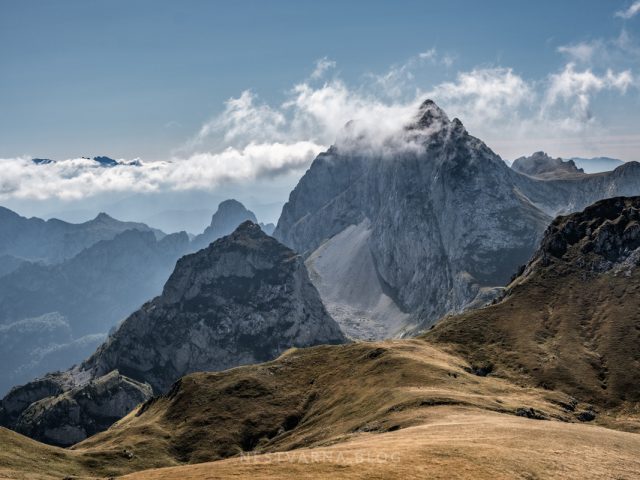 Skrajnuti dragulj, vrletna Sinja(je)vina