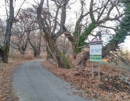 Da li ste za šetnju Stazom orhideja?