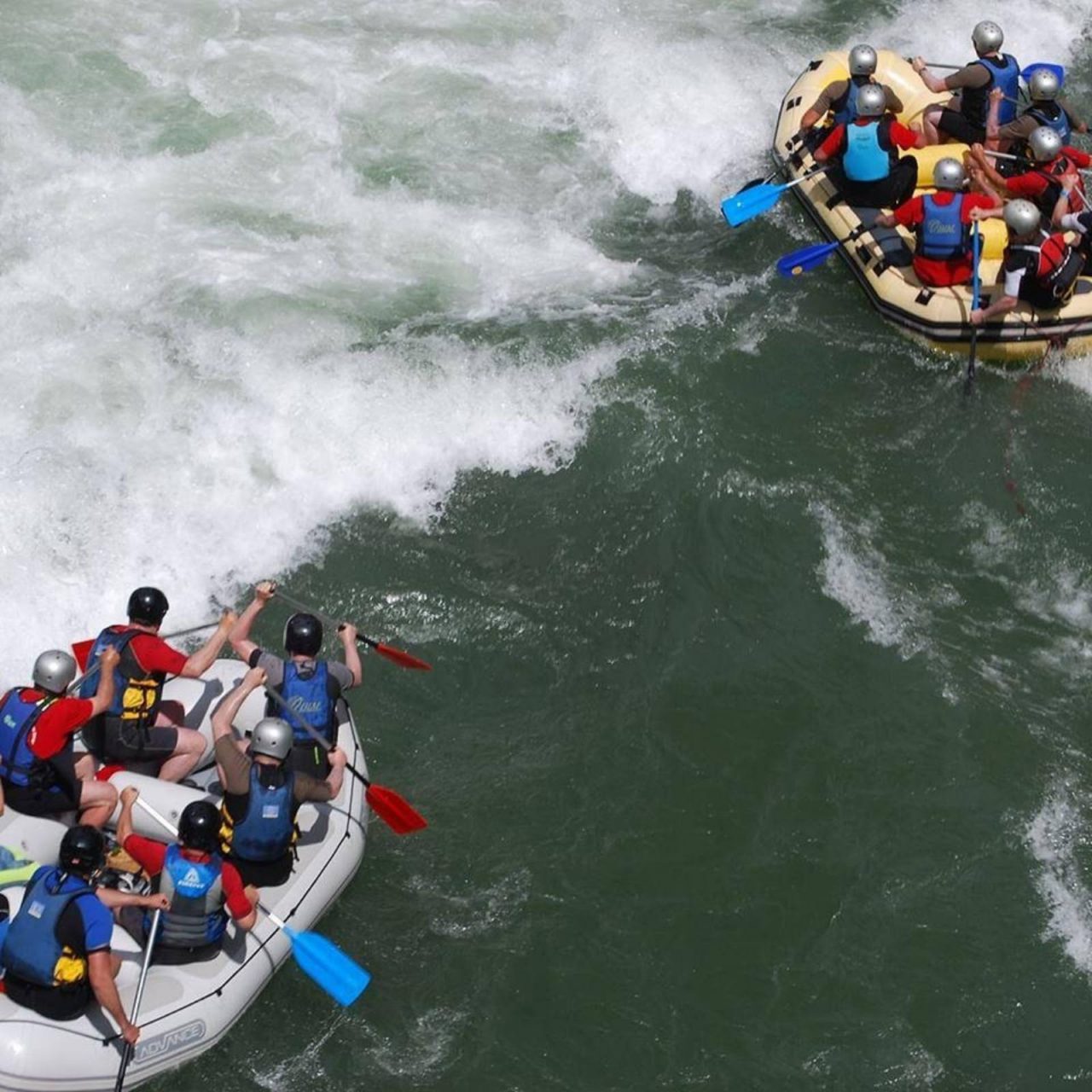 Limska regata kreće 5. juna iz Plava