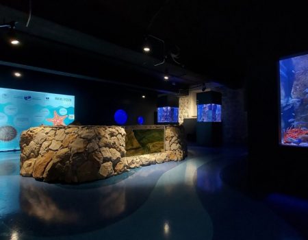 Prvi akvarijum u Crnoj Gori otvoren za posjetioce