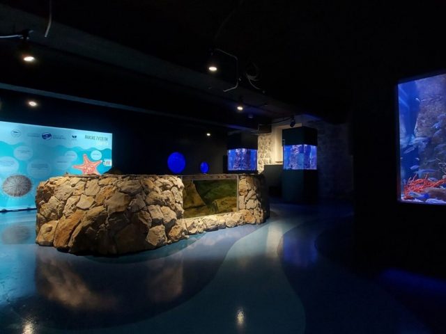 Prvi akvarijum u Crnoj Gori otvoren za posjetioce