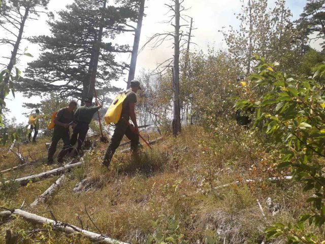 Upozorenje NP Durmitor: Opasno splavariti rijekom Tarom zbog požara