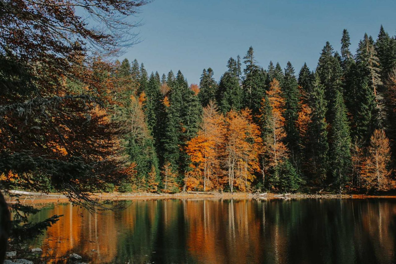 Božanstvena jesen na Zabojskom jezeru