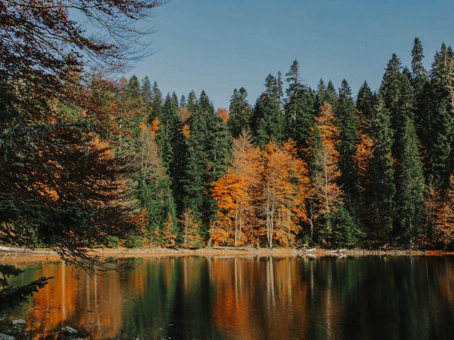 Božanstvena jesen na Zabojskom jezeru