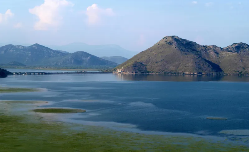 Sačuvajmo riblji svijet: Ribolovni zabran na Skadarskom jezeru na snazi do 15. maja