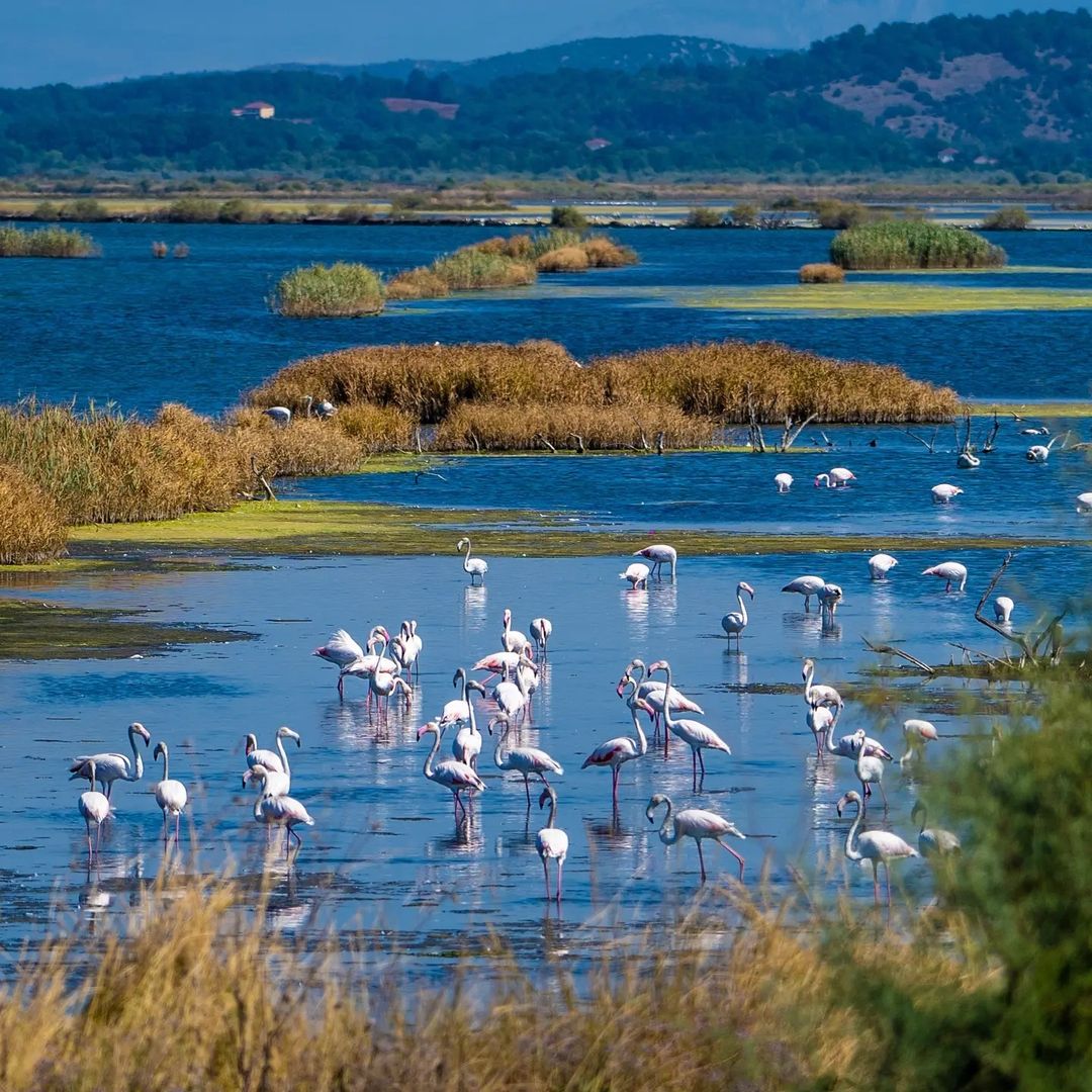 Why is Montenegro an ideal birdwatching destination?