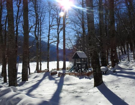 Nacionalni park Biogradska gora zatvara svoje kapije do 1. maja