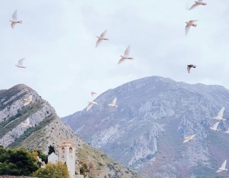 TO Bar i crnogorski startup Final Find predstavljaju novi alat za unapređenje turističke sezone