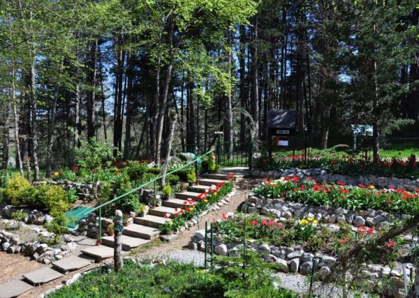 Botanička bašta Dulovine otvorena za posjetioce
