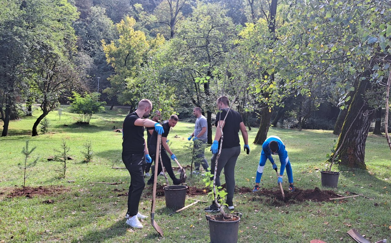 Park šuma Trebjesa zelenija za više od 130 sadnica