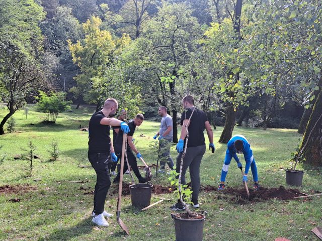 Park šuma Trebjesa zelenija za više od 130 sadnica