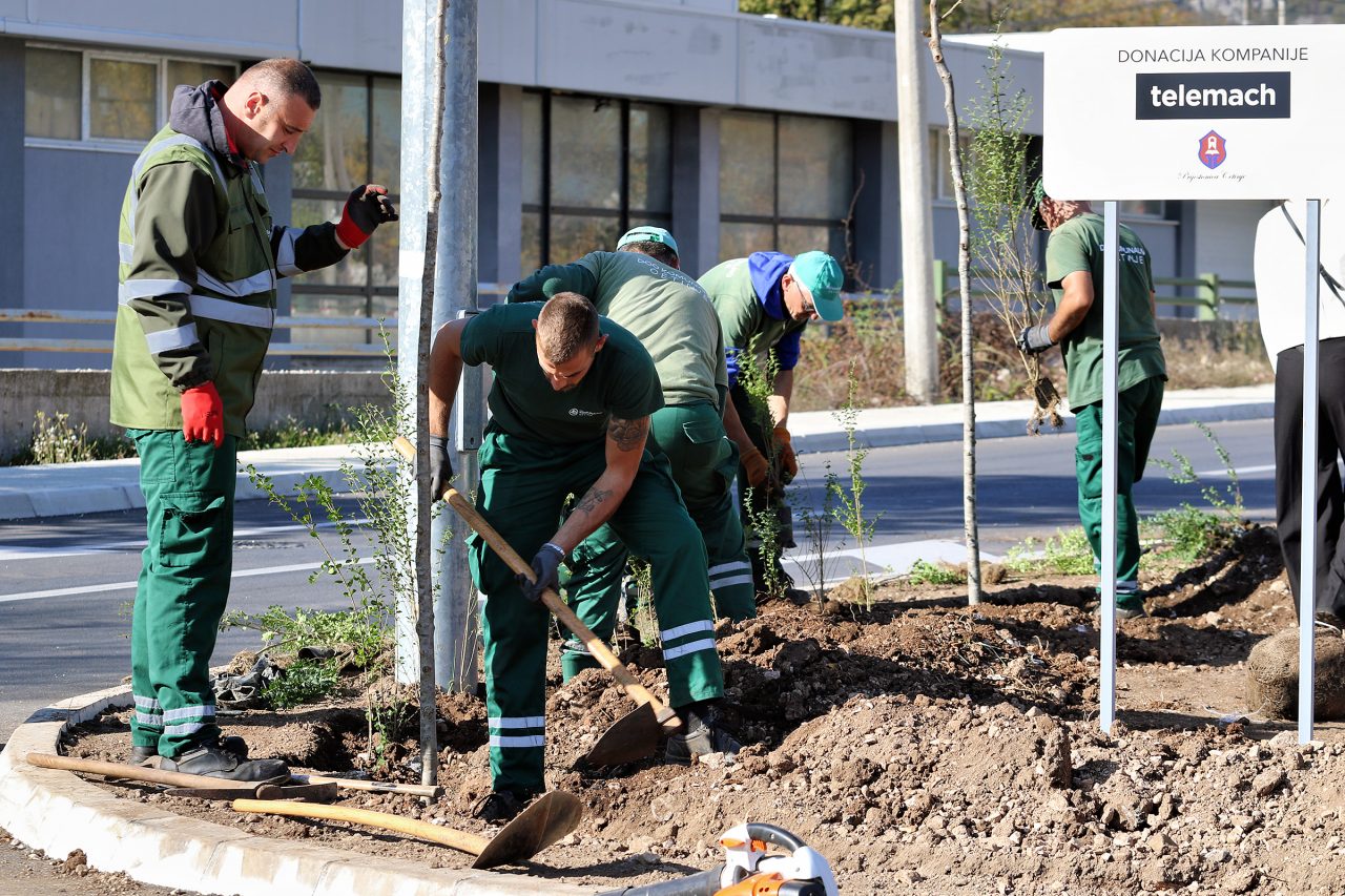 Telemach u šestoj zelenoj akciji: Donirane sadnice za Prijestonicu Cetinje