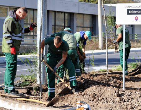 Telemach u šestoj zelenoj akciji: Donirane sadnice za Prijestonicu Cetinje