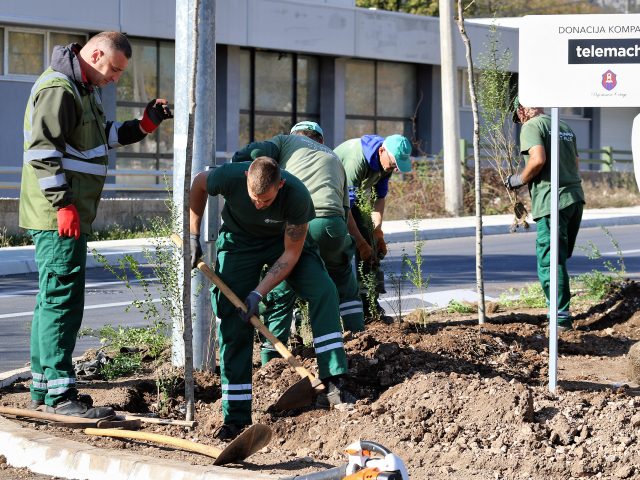 Telemach u šestoj zelenoj akciji: Donirane sadnice za Prijestonicu Cetinje