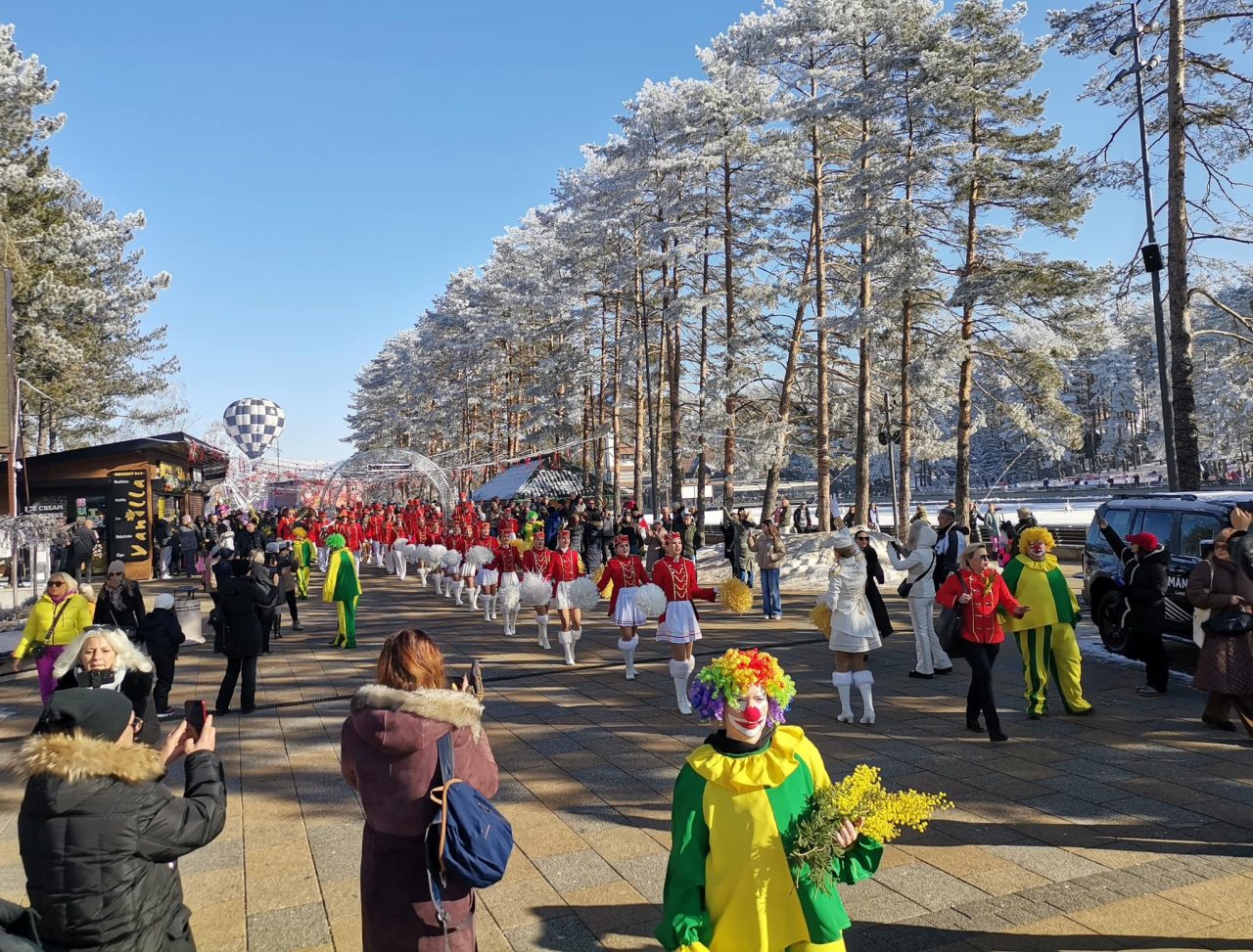 Mimozom okićen i Zlatibor: Hercegnovska fešta sve popularnija