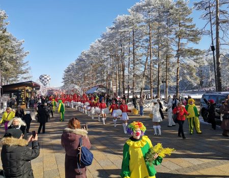 Mimozom okićen i Zlatibor: Hercegnovska fešta sve popularnija