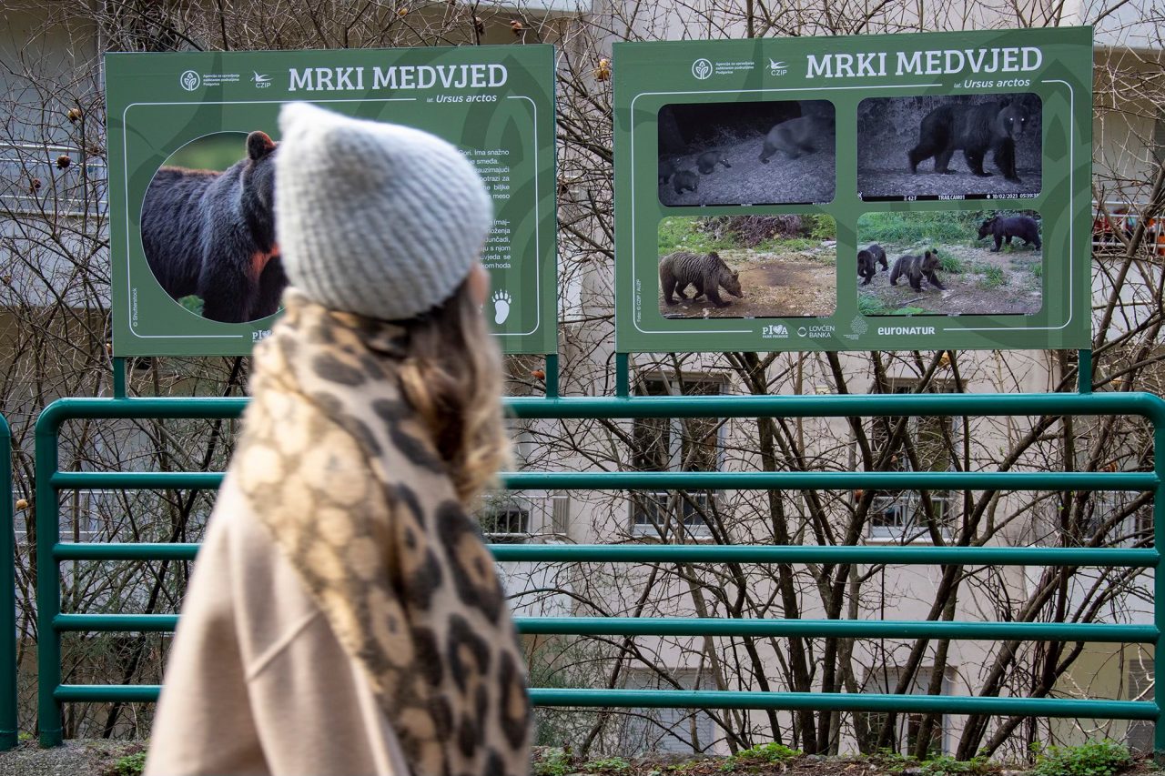 Posjetite izložbu na Gorici i upoznajte divlji svijet Pive i Komova