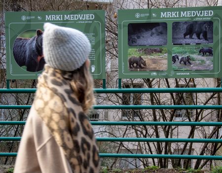 Posjetite izložbu na Gorici i upoznajte divlji svijet Pive i Komova