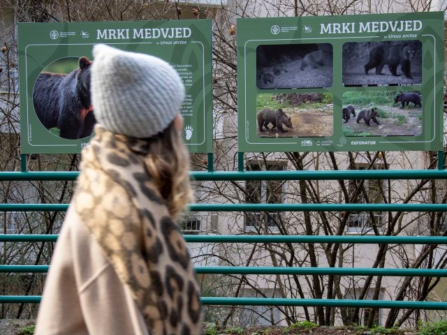 Posjetite izložbu na Gorici i upoznajte divlji svijet Pive i Komova