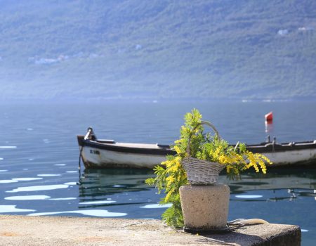 Nevrijeme odgađa otvaranje: Fešta od mimoze počinje u subotu!