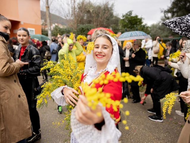 Mimoza miriše i poziva: Fešta je počela!