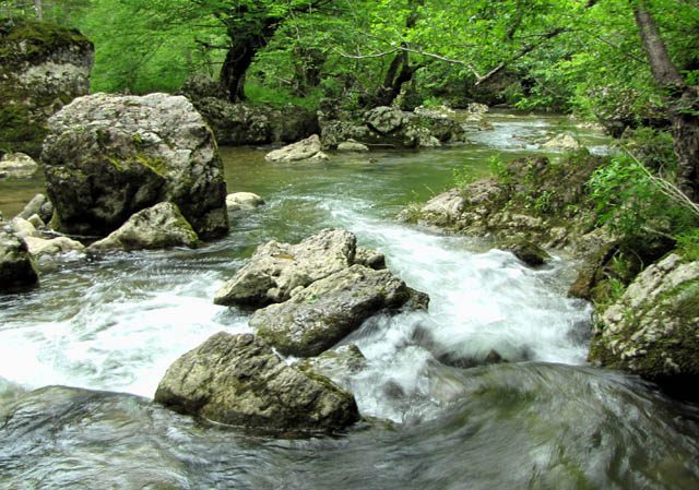 Ideja za proljećni izlet: Znate li za Zeleni vir u Pljevljima?