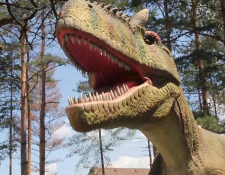 Dino grad u Baru – edukativna i zabavna avantura za cijelu porodicu