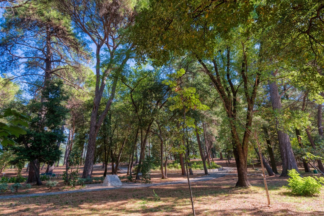 Must see lokacija u Tivtu – Veliki gradski park
