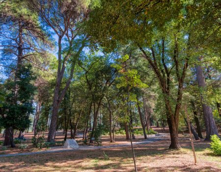 Must see lokacija u Tivtu – Veliki gradski park