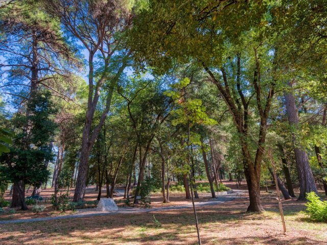 Must see lokacija u Tivtu – Veliki gradski park