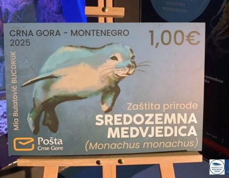 Promovisana poštanska marka s likom sredozemne medvjedice