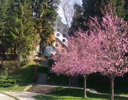 Majski bazar – sjajan povod da posjetite Kolašin