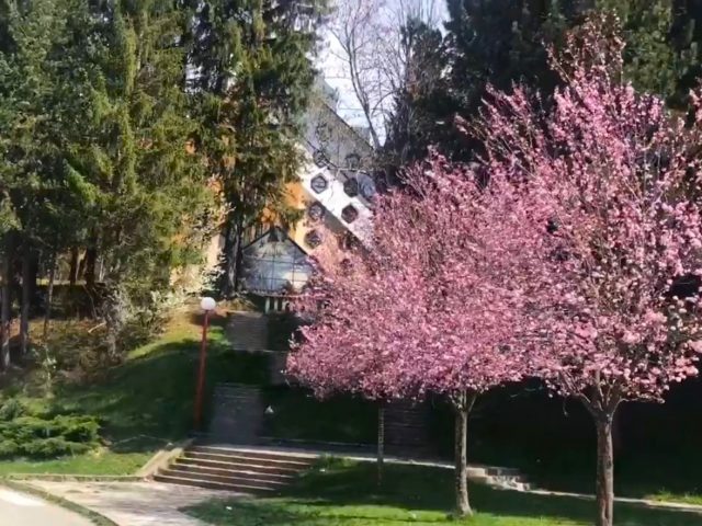 Majski bazar – sjajan povod da posjetite Kolašin