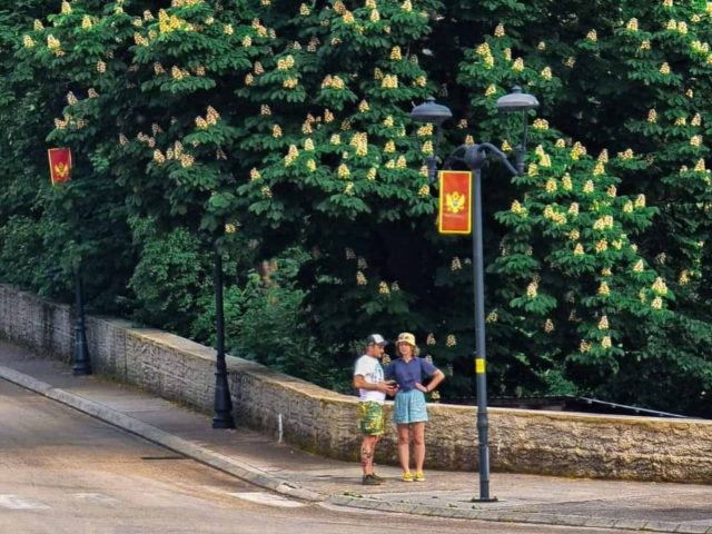 “Miris lipa & meda” 12. jula na Balšića pazaru