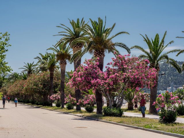 Dođite u Bar: Hari Mata Hari na najljepšem šetalištu 18. jula