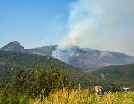 Coca-Cola HBC Srbija i Crna Gora pruža podršku zajednicama pogođenim požarima – donacija od gotovo 50.000 litara proizvoda
