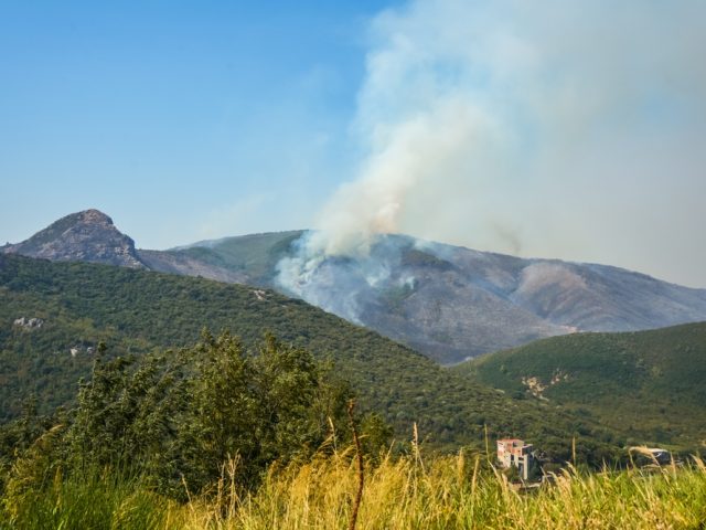 Coca-Cola HBC Srbija i Crna Gora pruža podršku zajednicama pogođenim požarima – donacija od gotovo 50.000 litara proizvoda