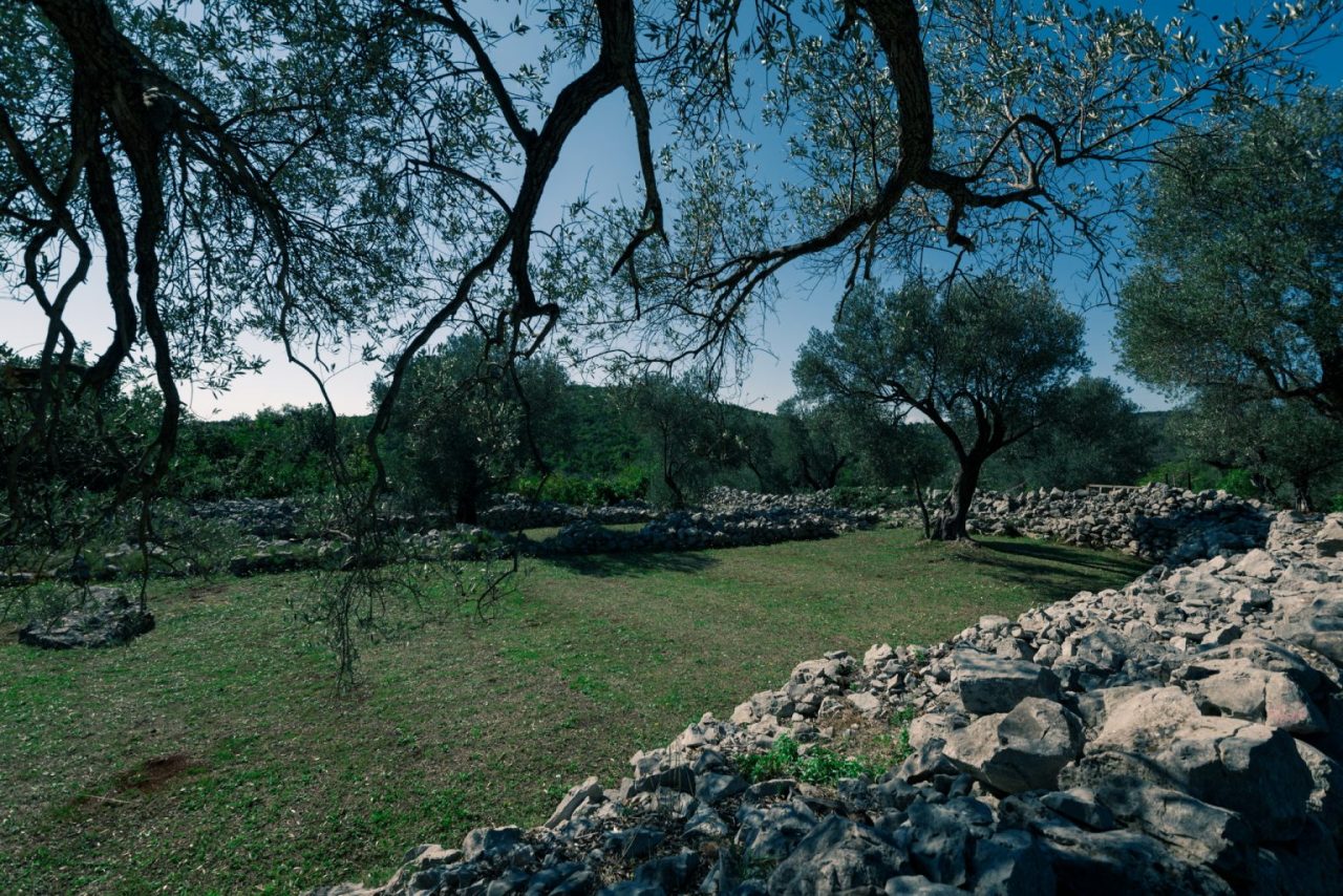 Avantura kroz ljepote Tivta: Pridružite se pješačkoj turi Đuraševići-Grabovac-Uvala Pržna