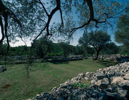 Avantura kroz ljepote Tivta: Pridružite se pješačkoj turi Đuraševići-Grabovac-Uvala Pržna