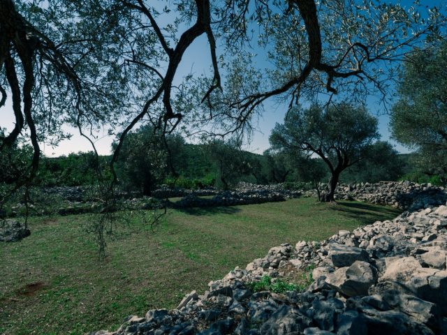 Avantura kroz ljepote Tivta: Pridružite se pješačkoj turi Đuraševići-Grabovac-Uvala Pržna