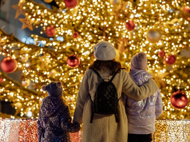 Portonovi najavljuje program za predstojeću prazničnu sezonu