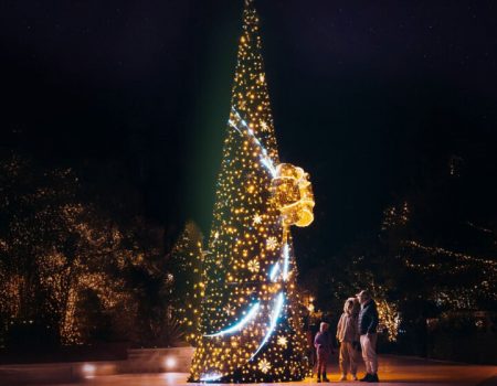 Luštica Bay: Mediteranska kulisa prazničnih događaja
