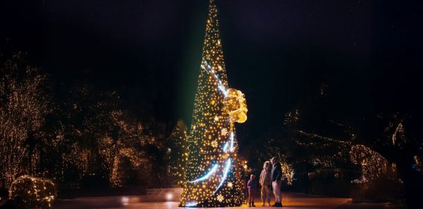 Luštica Bay: Mediteranska kulisa prazničnih događaja